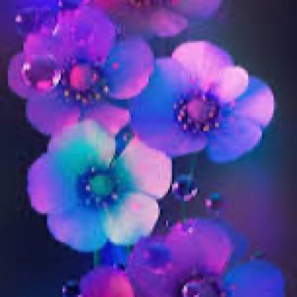 Grace
