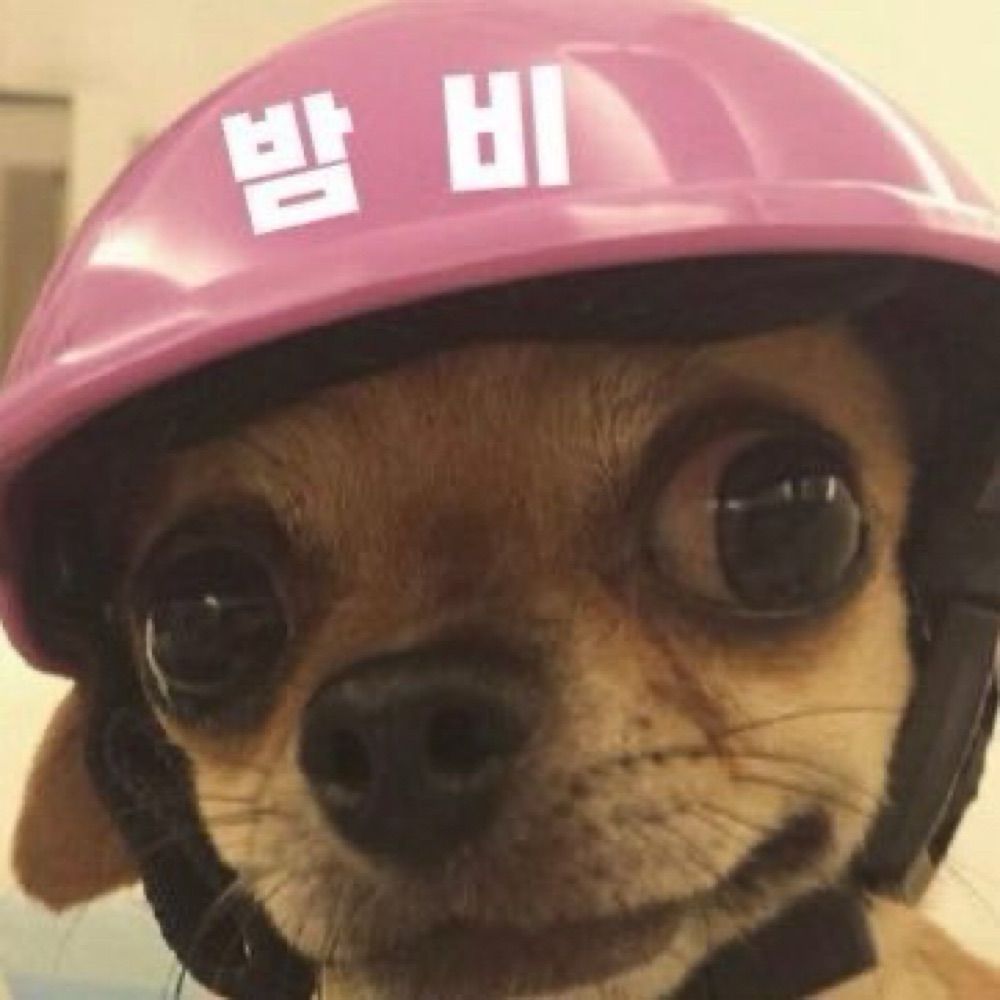 우주최강