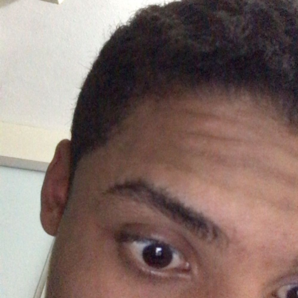 pedro 