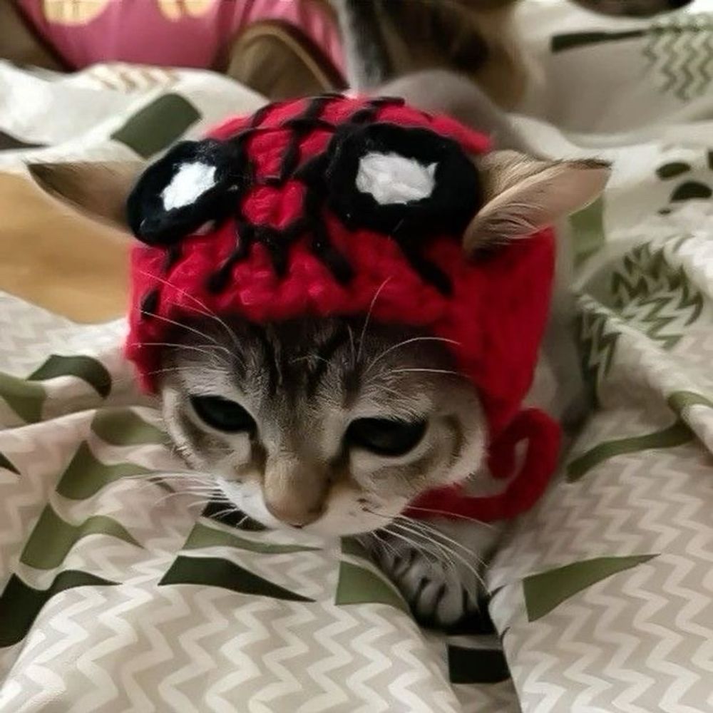 ゲシュタルト崩壊