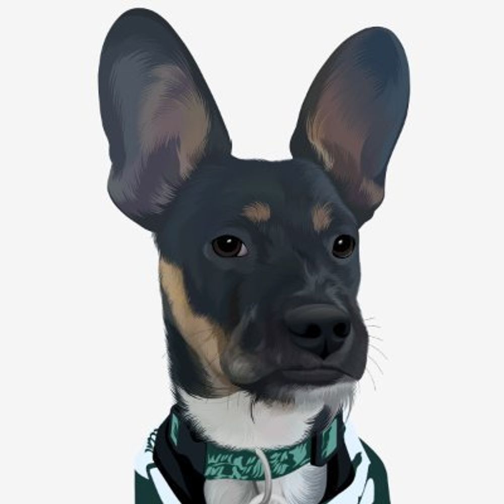 IzzoTSpartanDog