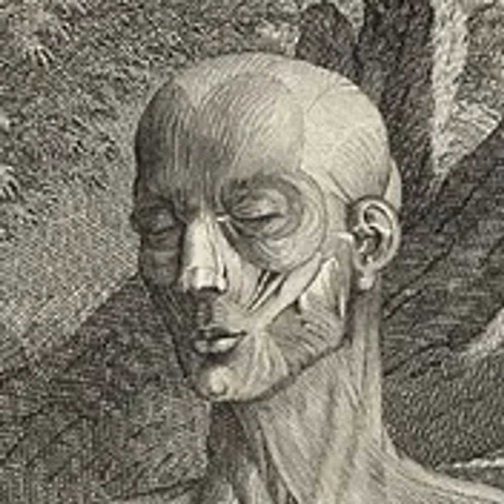 Écorché