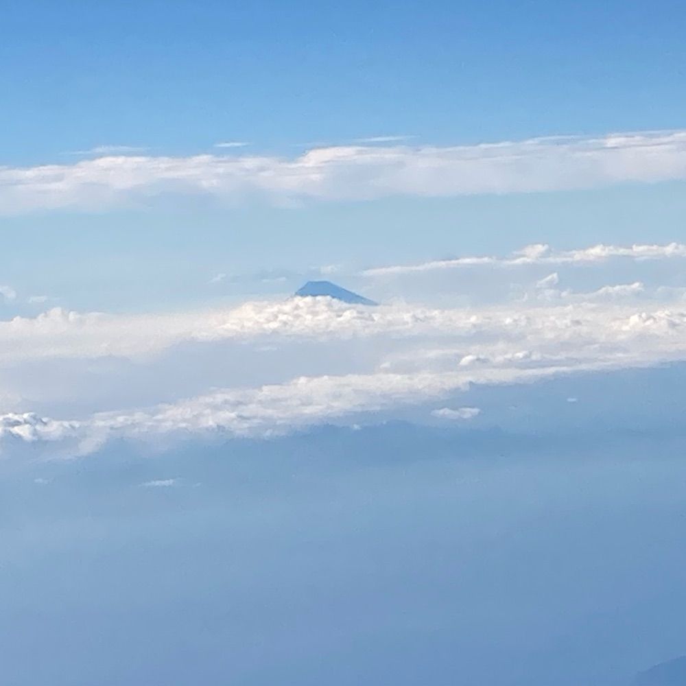 ある