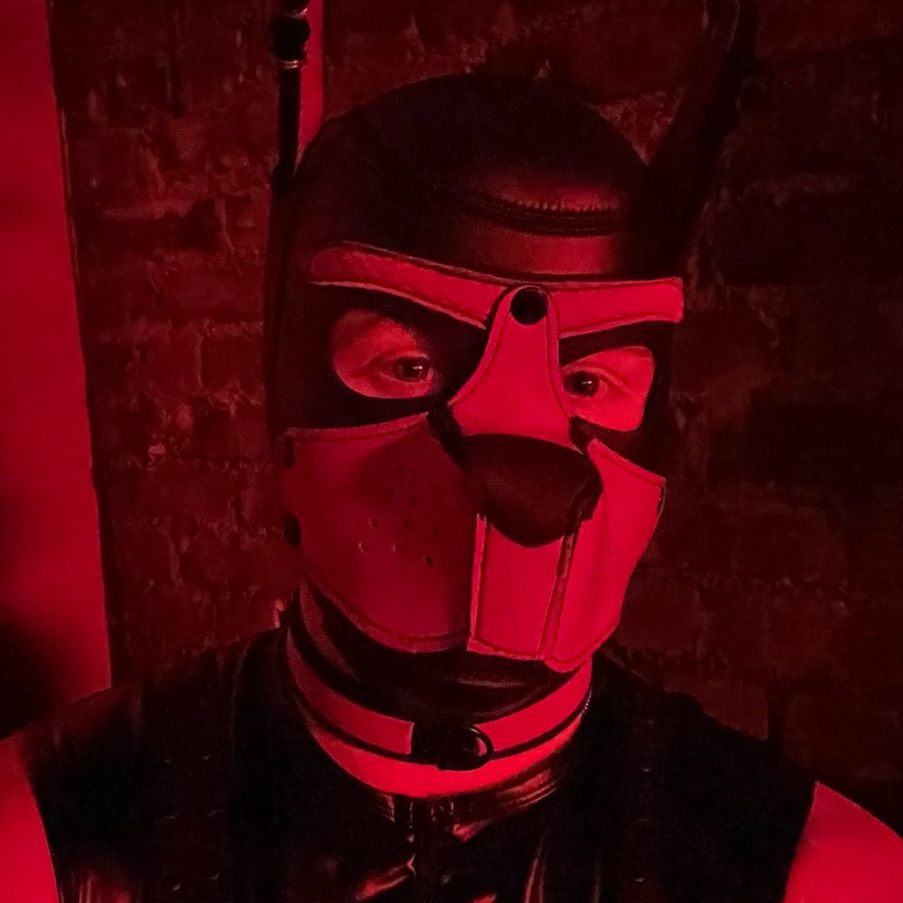 Pup Patches