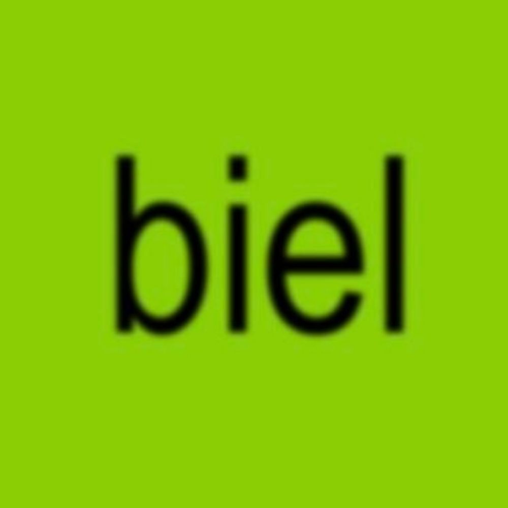bora biell ze da manga
