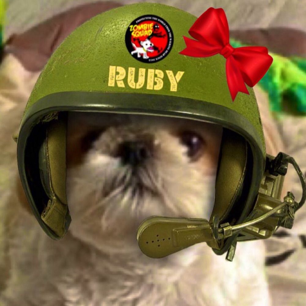 Darth Rubykins 🐾🐶