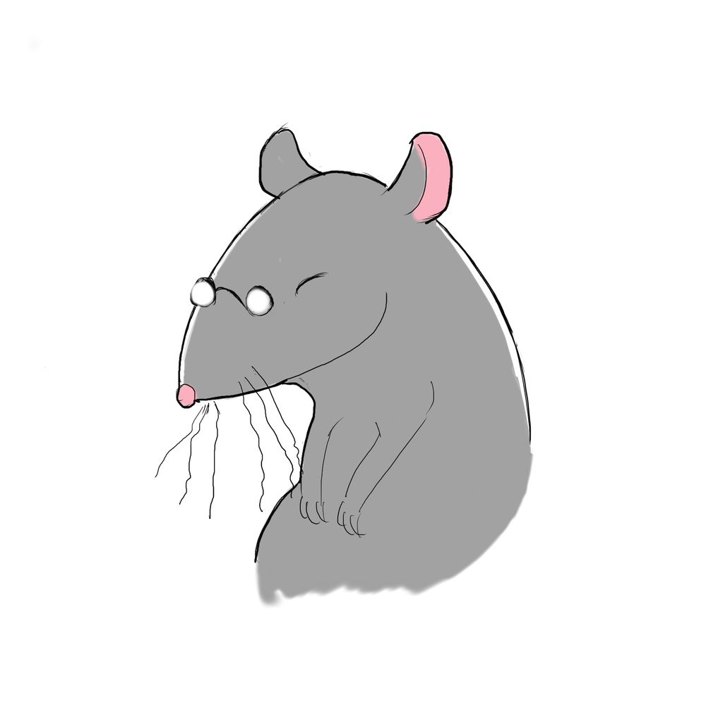 Greying Rat