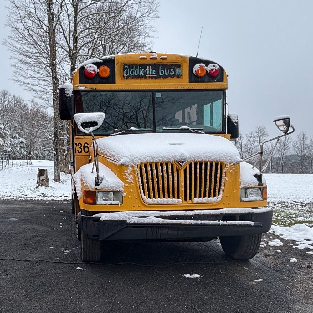 Addie the Bus