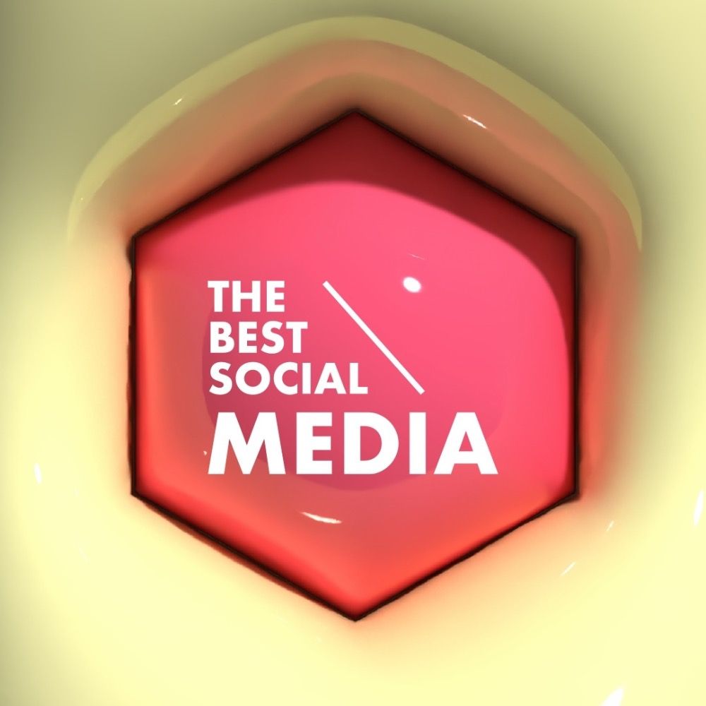 The Best Social Media NL 