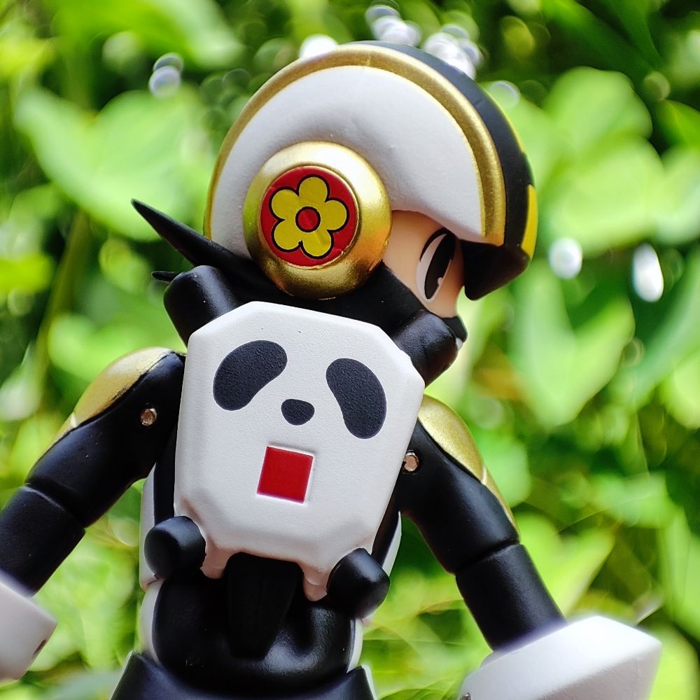 托拉Boy