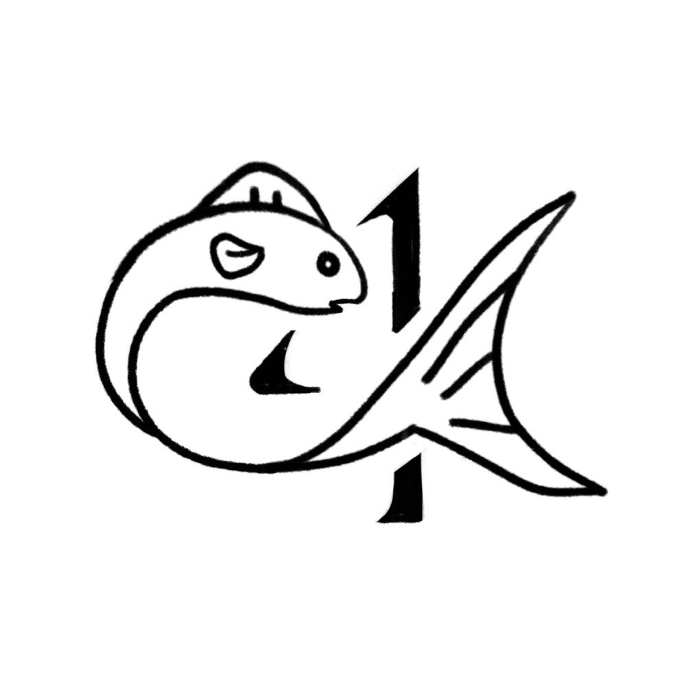 Cod in 4K