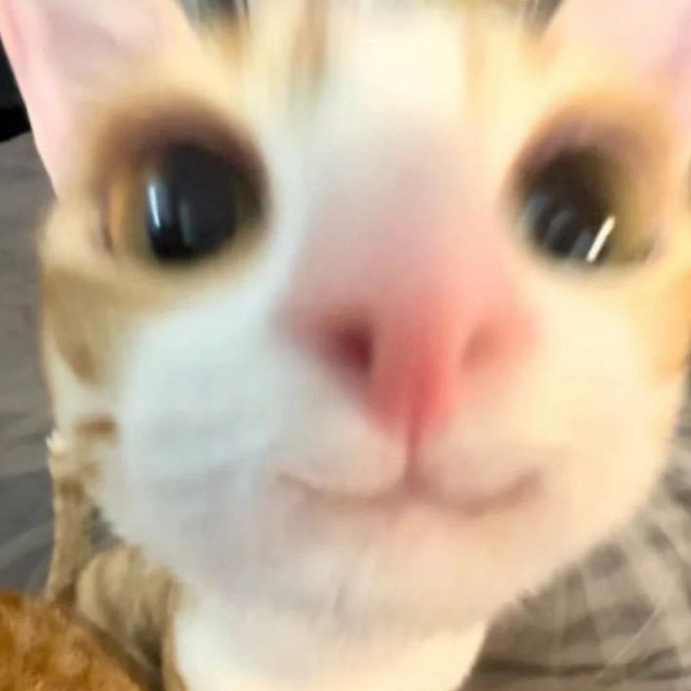 kouhei