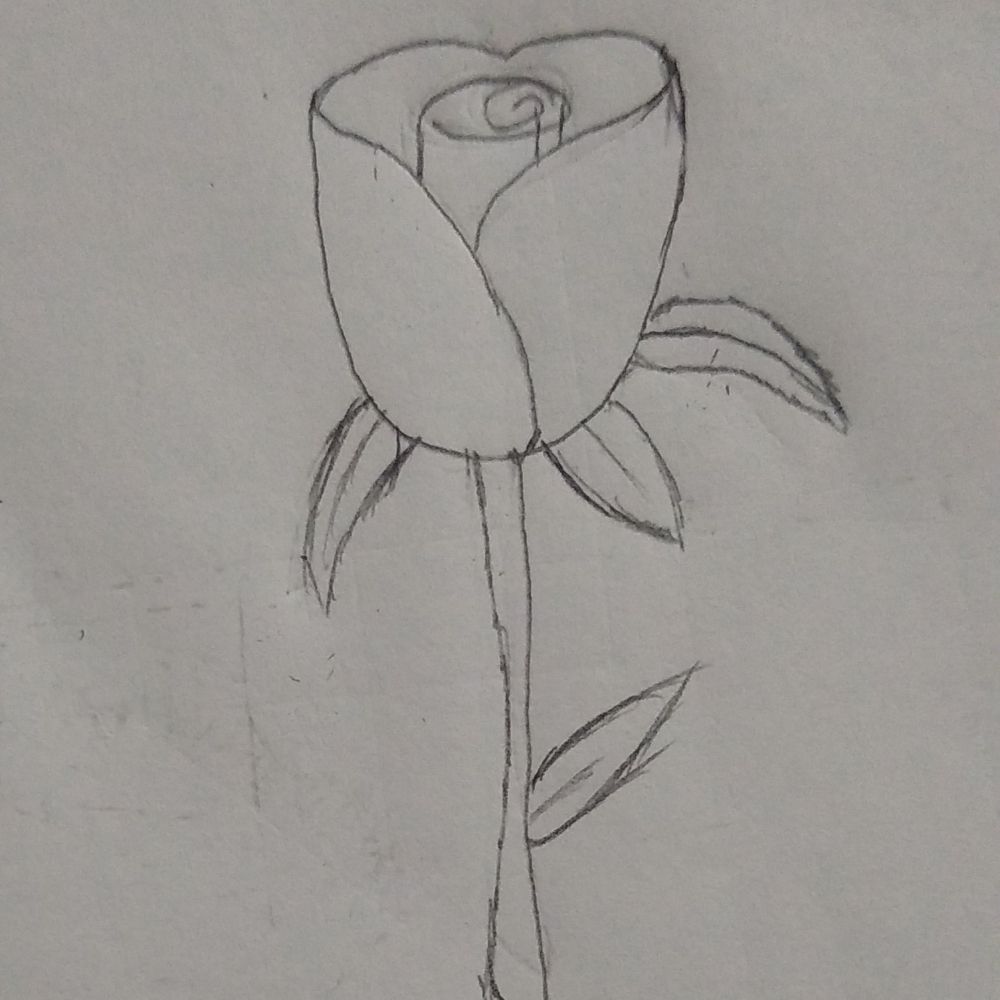 Desenhos 