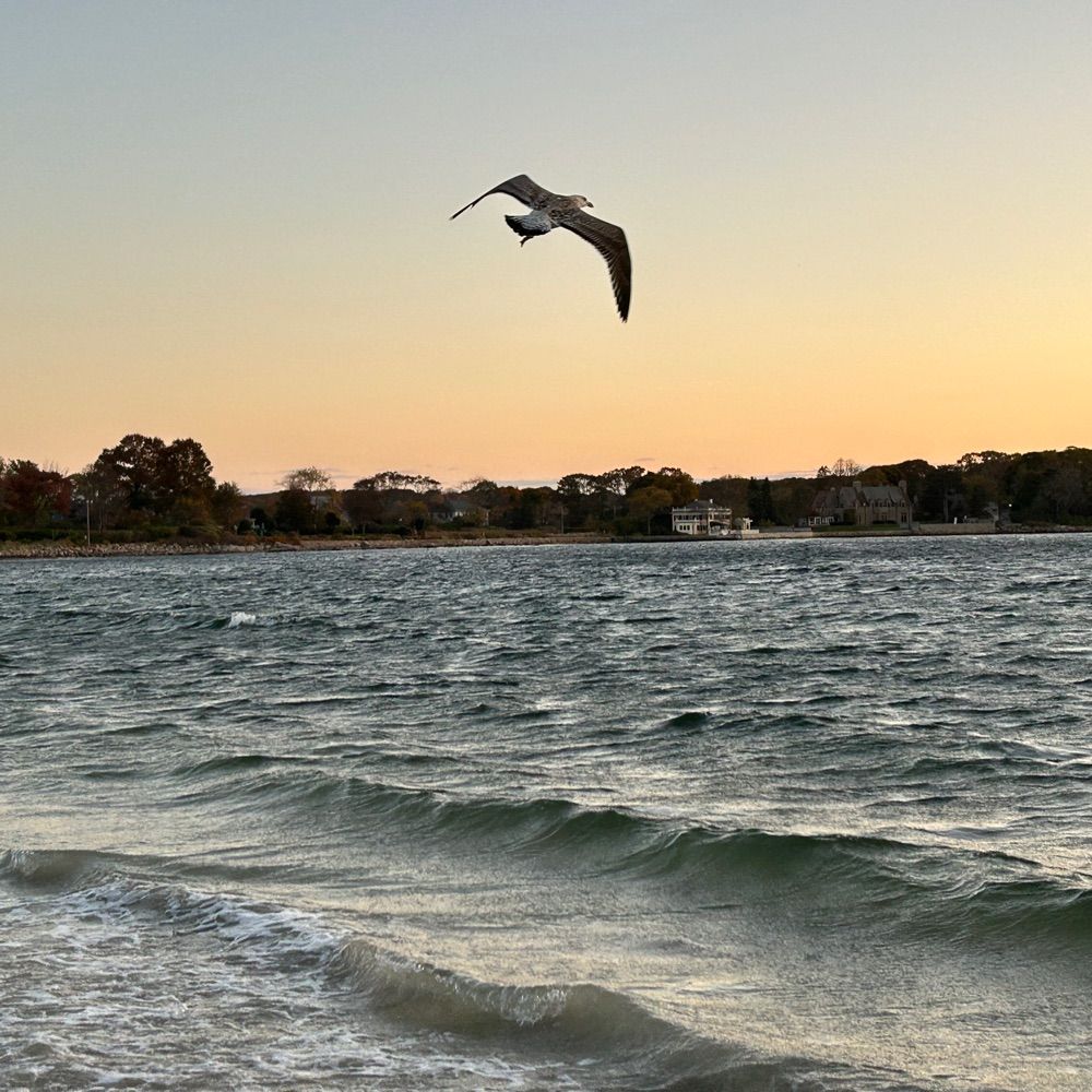 Cape Ann MA