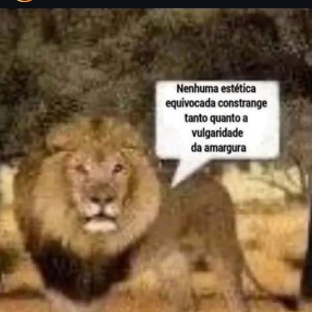 Jonas 