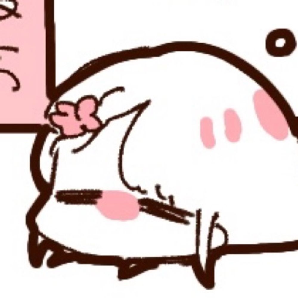 コフレの裏