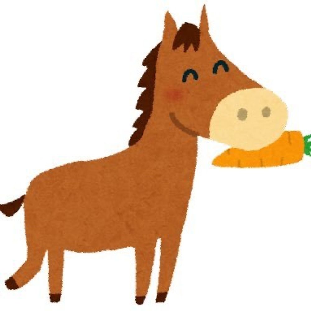 さんどりよん🐴