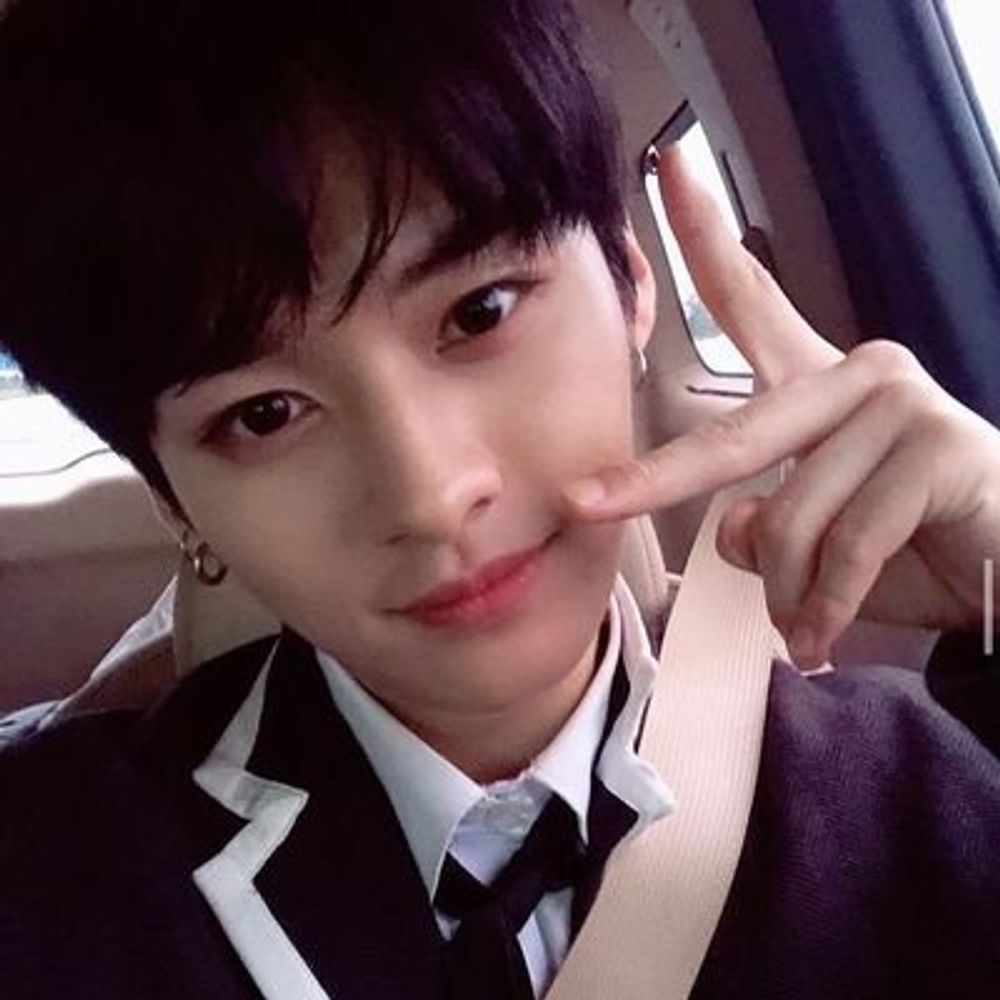 dellay seungmin da silva