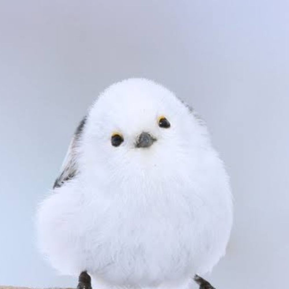 さきえる☆