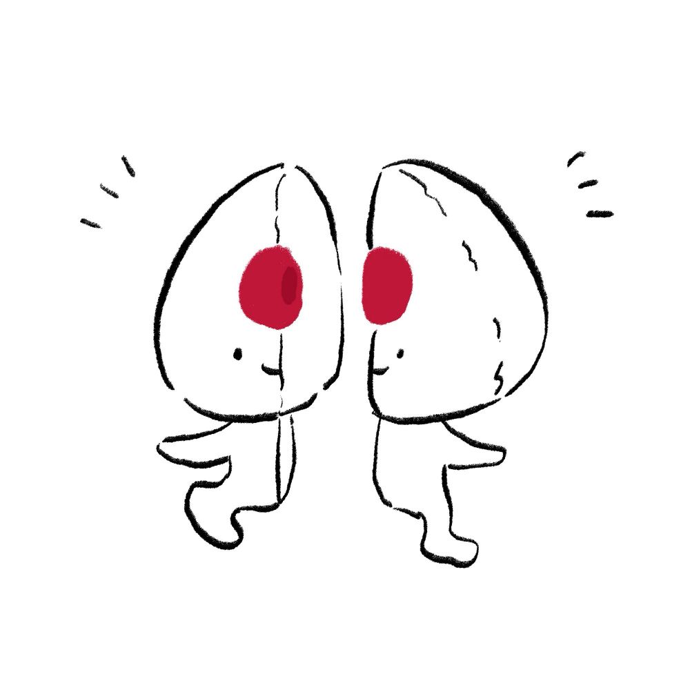 うきた