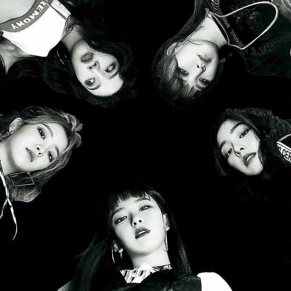 Red velvet daily 💫