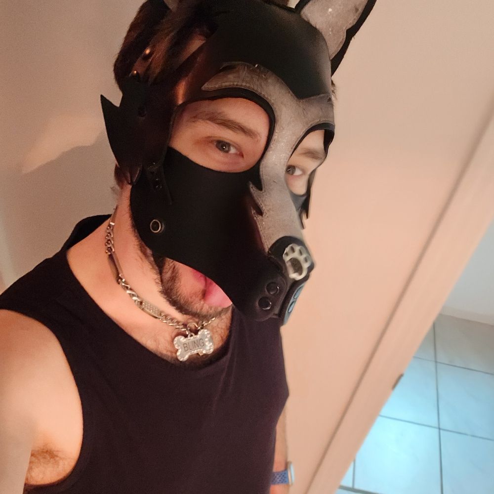 Sir Puppy Bling