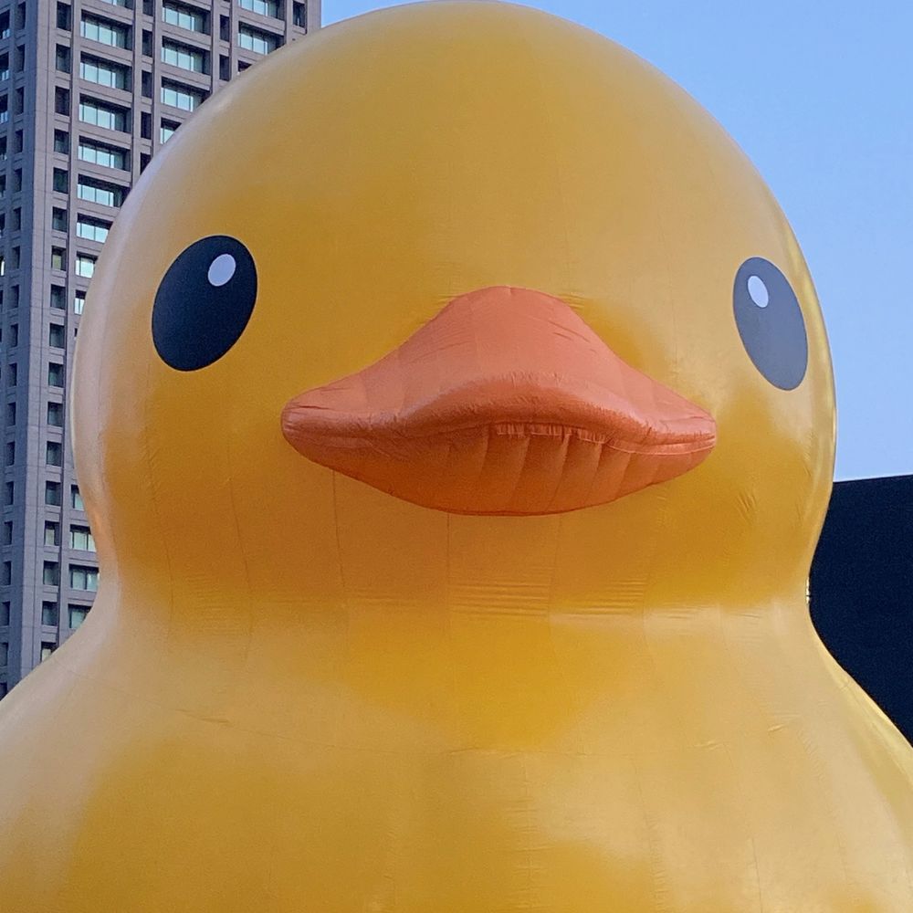 だっくたいちょー