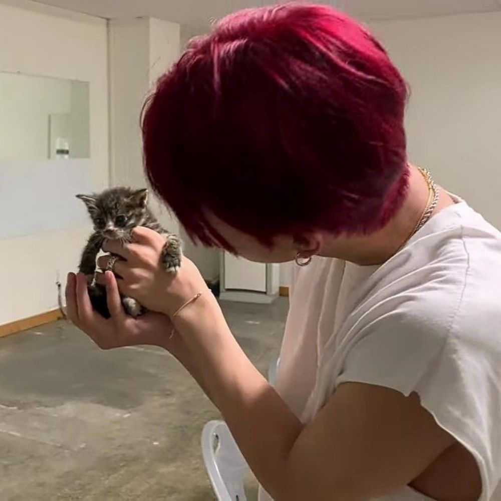 sosu ! ★ | love black cats & jungwon