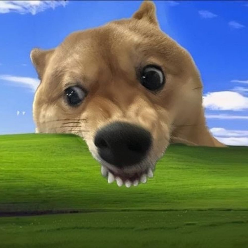 도지