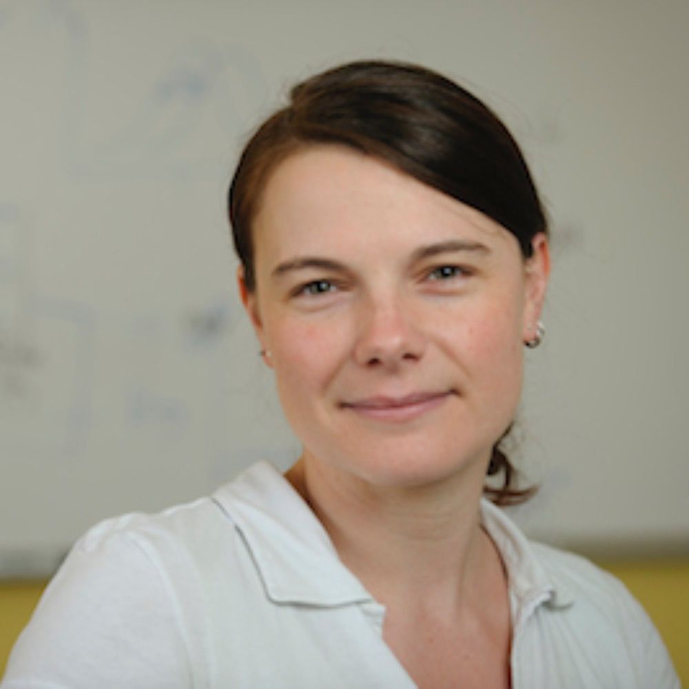 Loesgen Lab