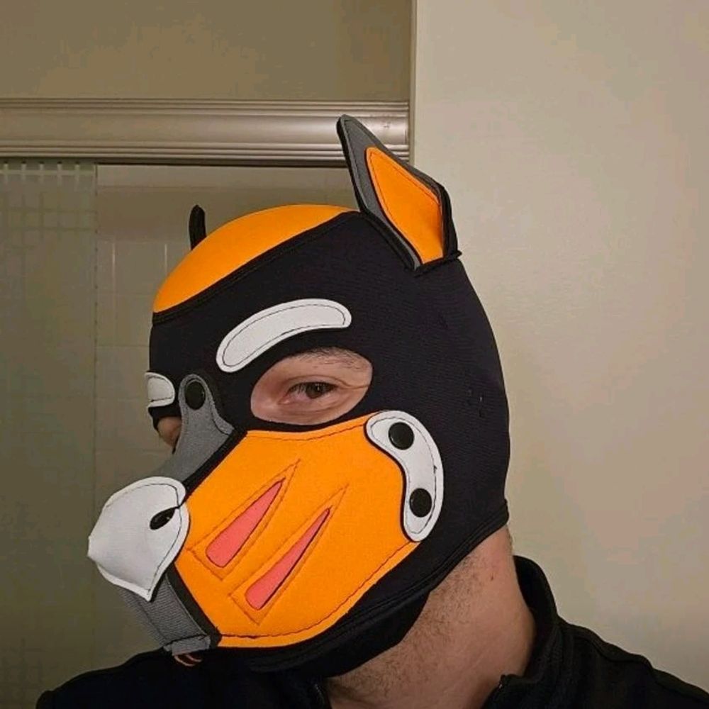 Pup burrow
