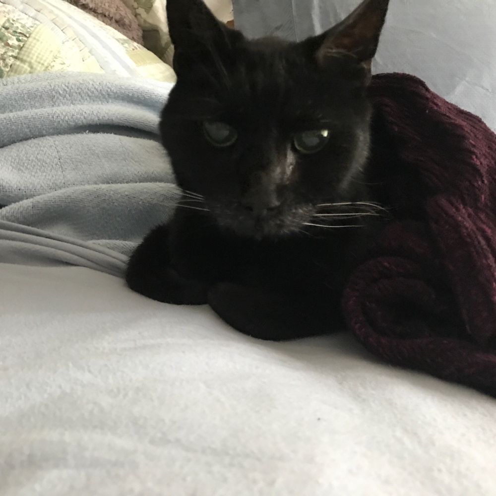 Position Taken