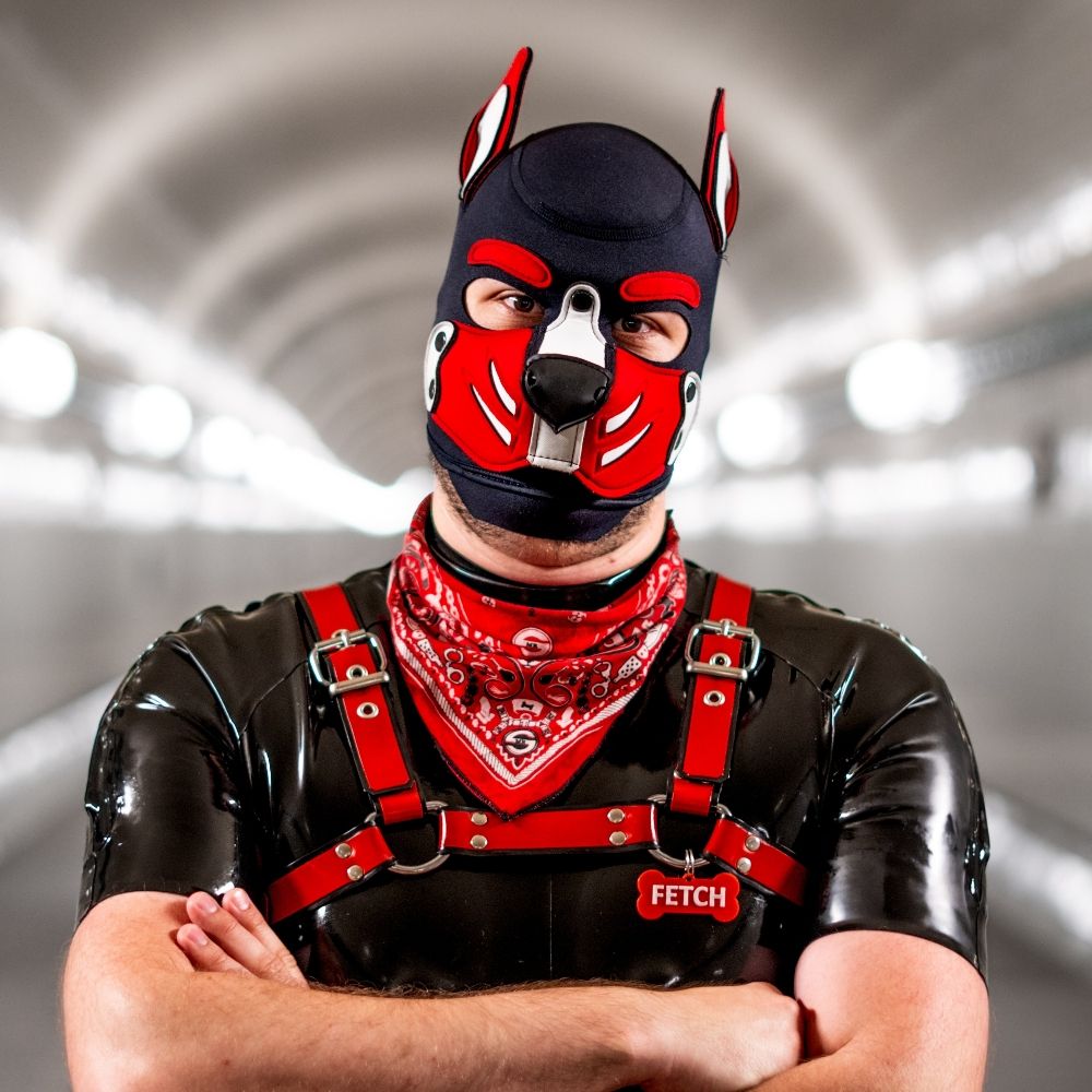pupFetch