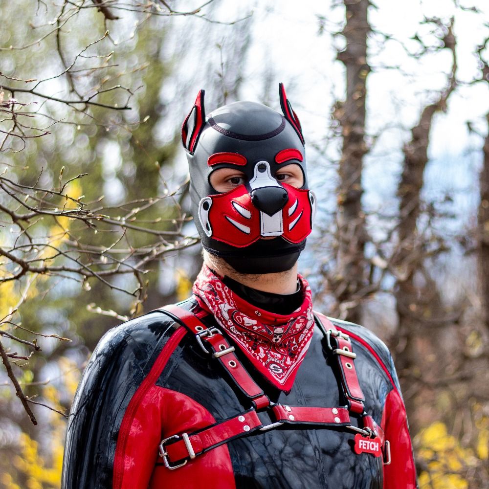 pupFetch