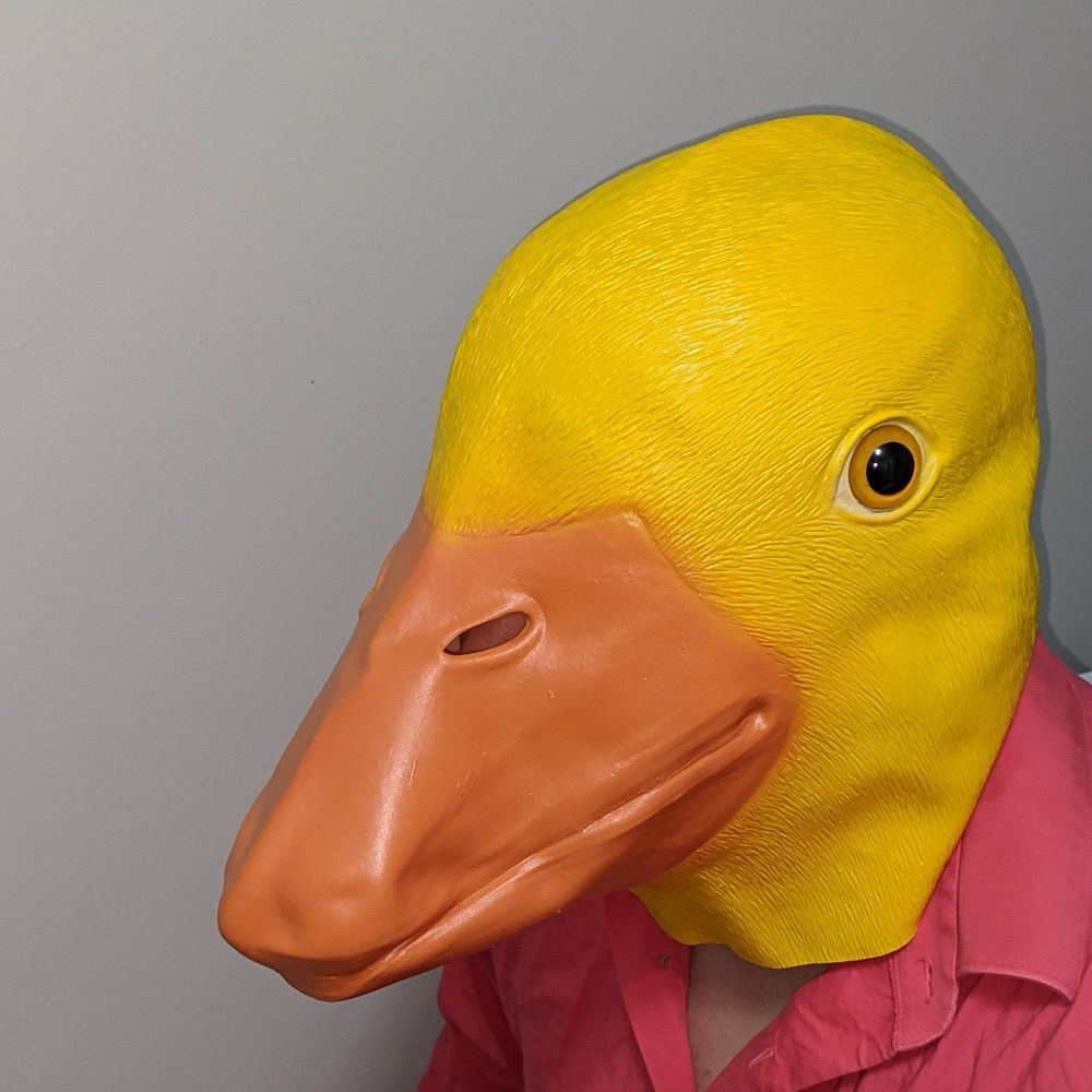 DuckyAtSea
