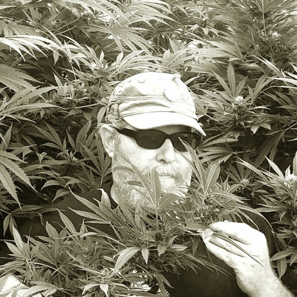 Wayne Growz