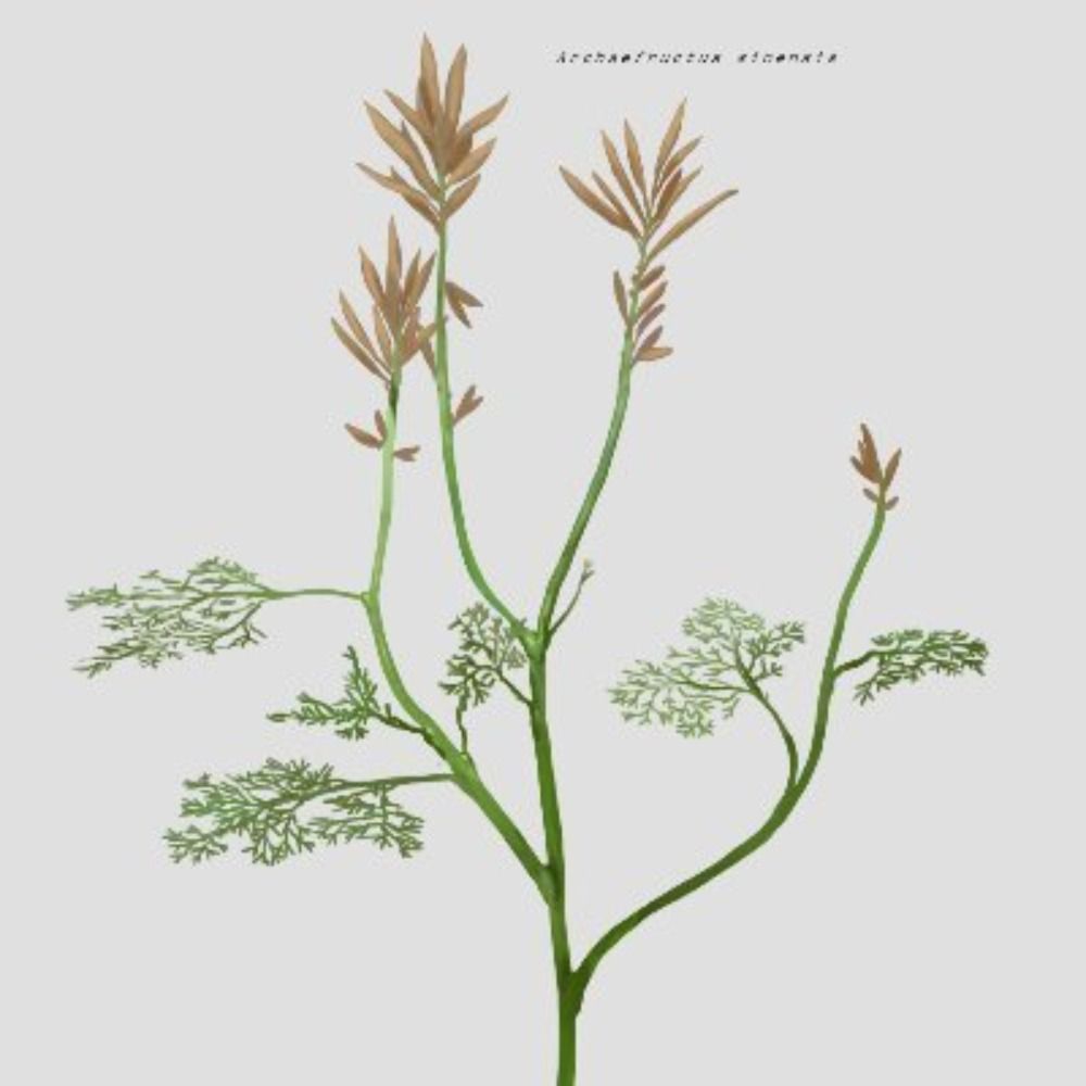 Extinct Plants Paleoart