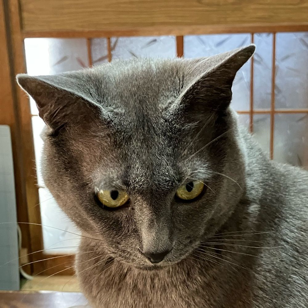 えりん