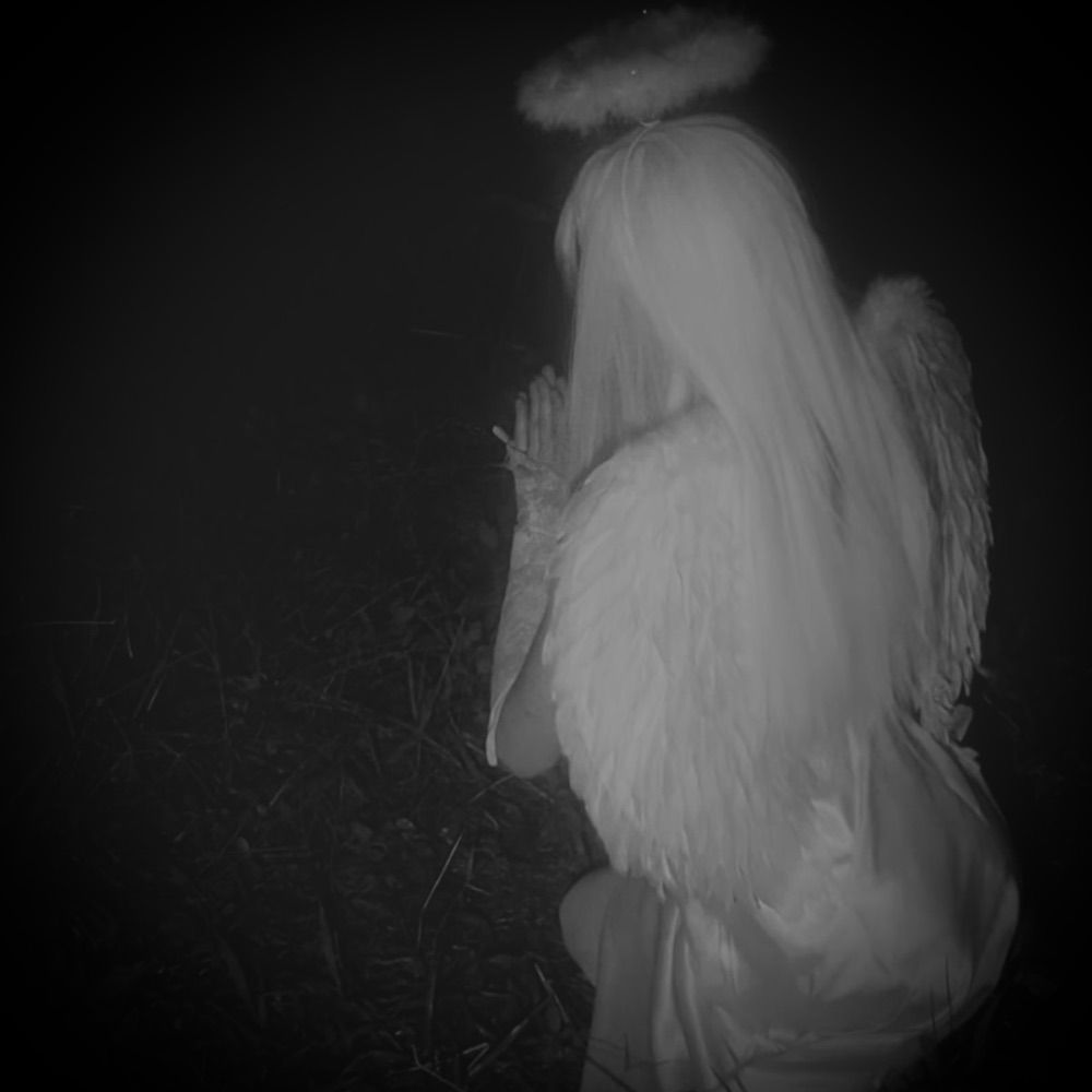 ♡︎𝓢𝓱𝓪𝓭𝓸𝔀♥︎