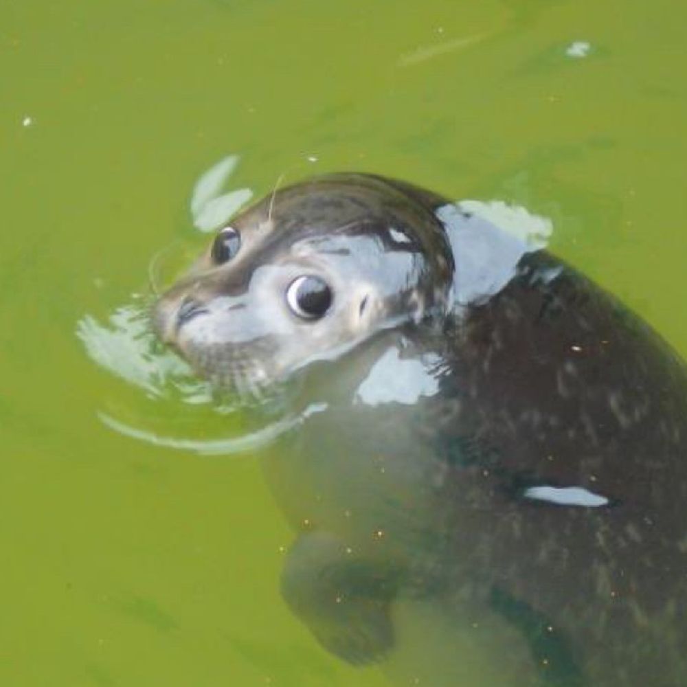 율