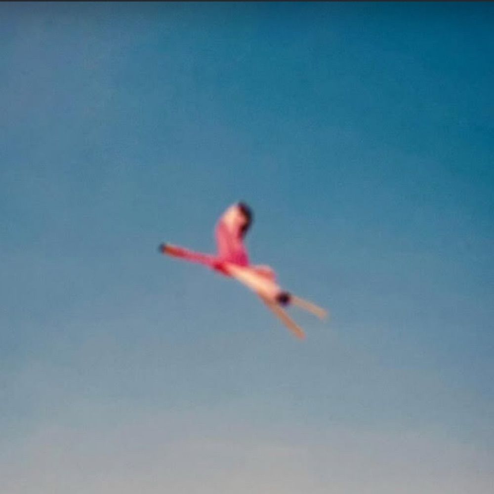 eflamingo
