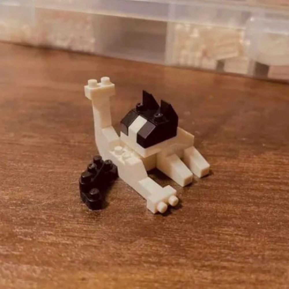 Tusk