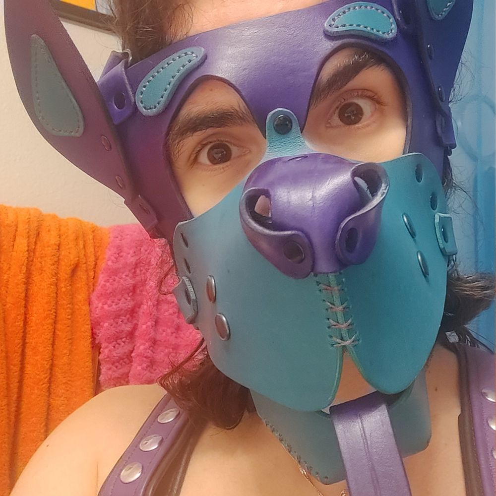 Pup Pavlov