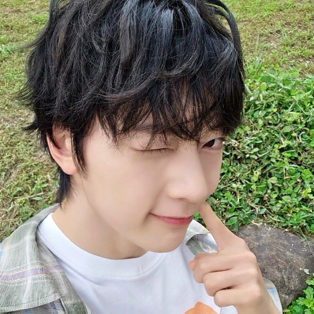 매chu