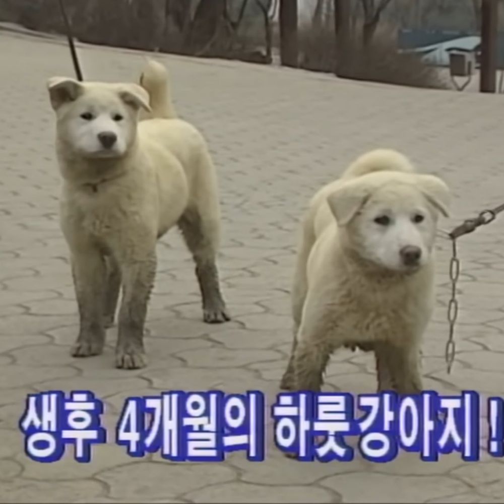 기울기
