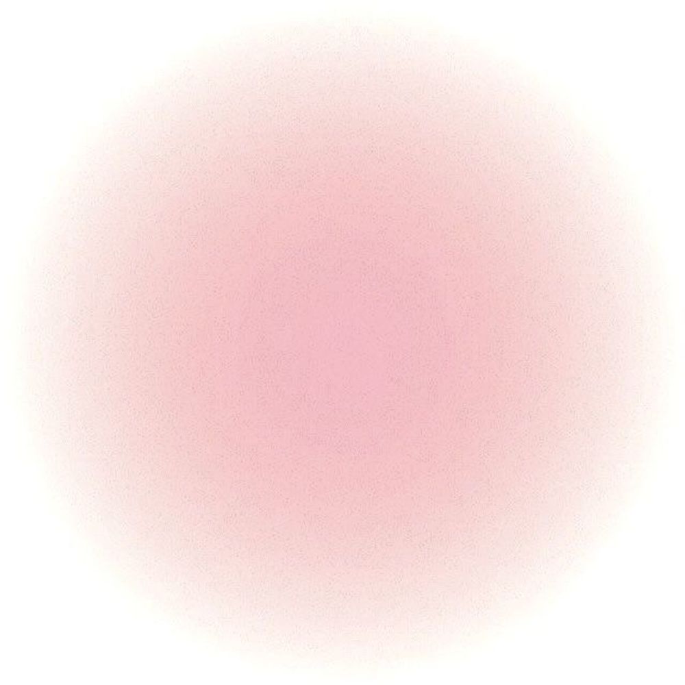 홍 조
