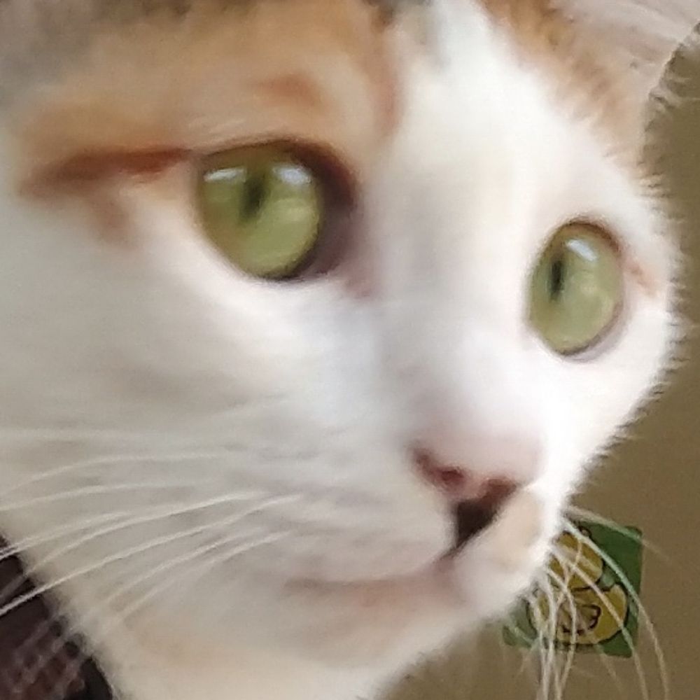 พัค เขว