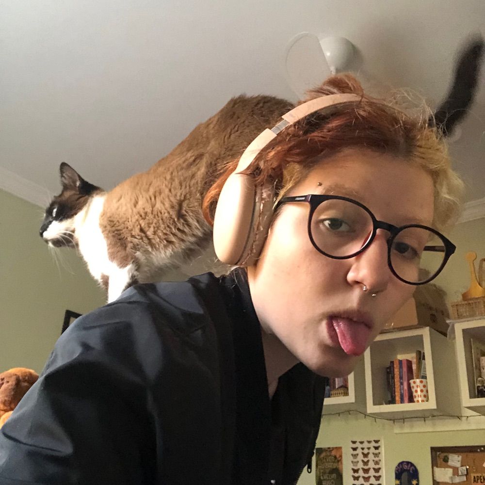 User avatar