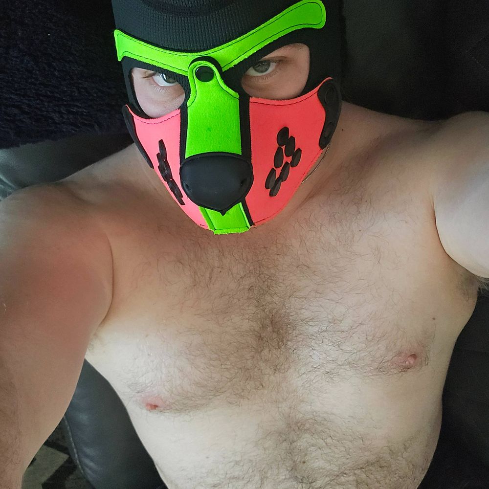 Pup Asher