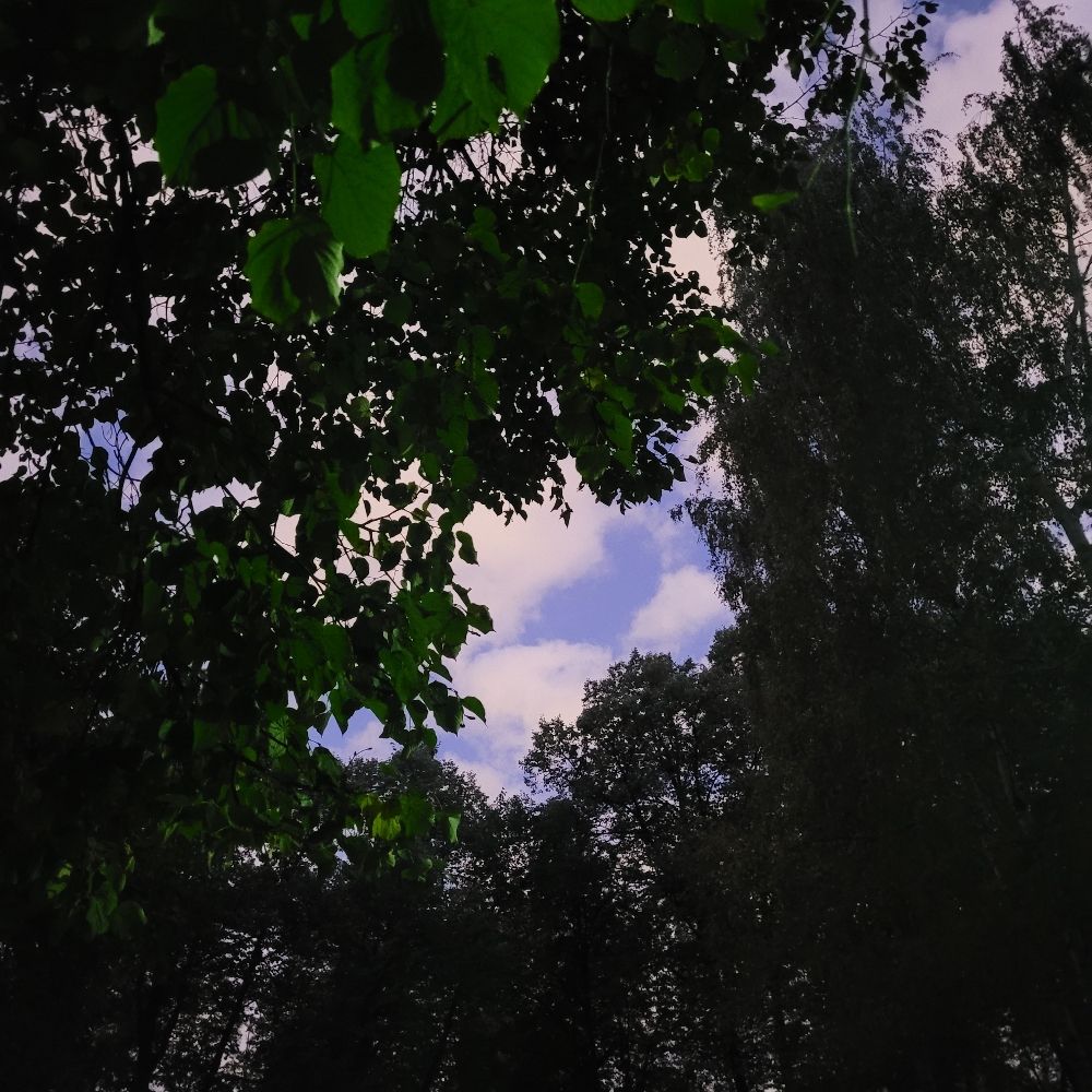 Олке